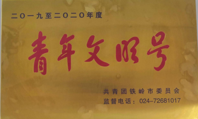 新葡的京集团350vip8888世界技能大赛教师团队开展“擦亮青年文明号,争做铁岭营商环境最美风