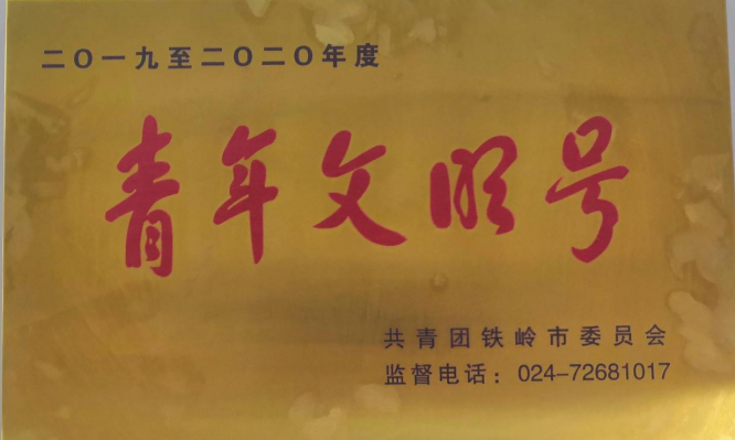 新葡的京集团350vip8888世界技能大赛教师团队开展“擦亮青年文明号，争做铁岭营商环境最美风